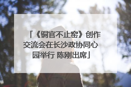 《铜官不止窑》创作交流会在长沙政协同心园举行 陈刚出席