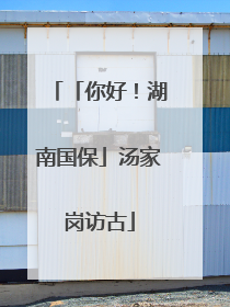 「你好！湖南国保」汤家岗访古