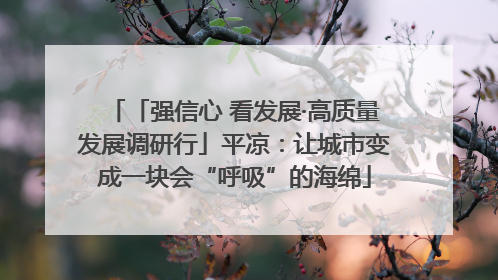 「强信心 看发展·高质量发展调研行」平凉：让城市变成一块会“呼吸”的海绵