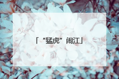 “猛虎”闹江