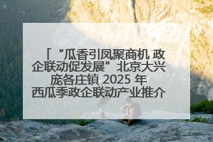 “瓜香引凤聚商机 政企联动促发展”北京大兴庞各庄镇 2025 年西瓜季政企联动产业推介活动圆满举行