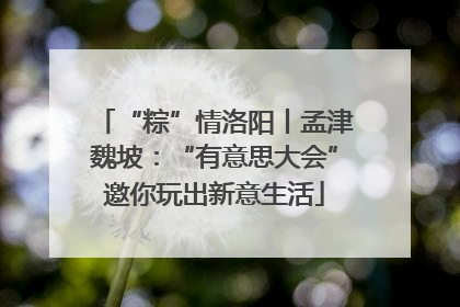 “粽”情洛阳丨孟津魏坡：“有意思大会”邀你玩出新意生活