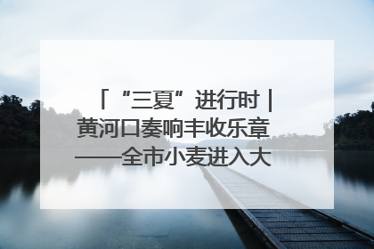 “三夏”进行时｜黄河口奏响丰收乐章——全市小麦进入大面积收获高峰期