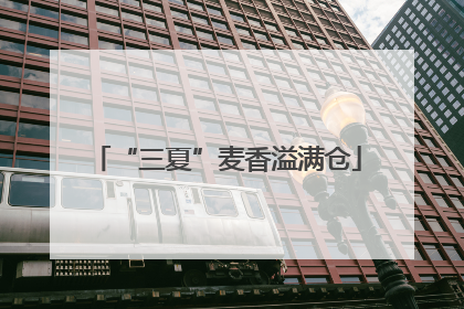 “三夏”麦香溢满仓