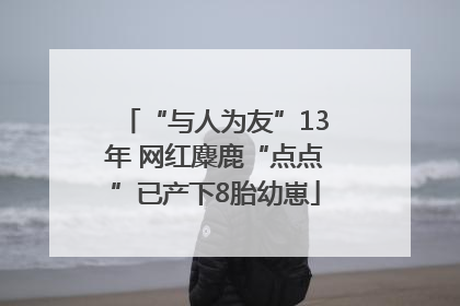 “与人为友”13年 网红麋鹿“点点”已产下8胎幼崽