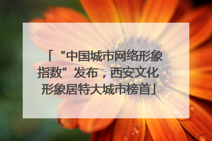 “中国城市网络形象指数”发布，西安文化形象居特大城市榜首
