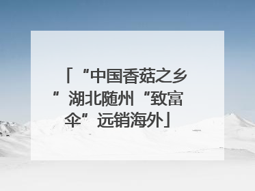 “中国香菇之乡”湖北随州“致富伞”远销海外