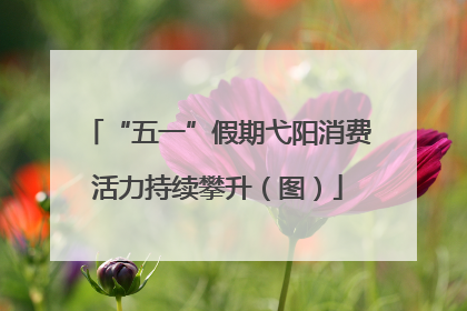 “五一”假期弋阳消费活力持续攀升（图）