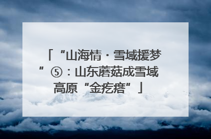 “山海情・雪域援梦”⑤：山东蘑菇成雪域高原“金疙瘩”