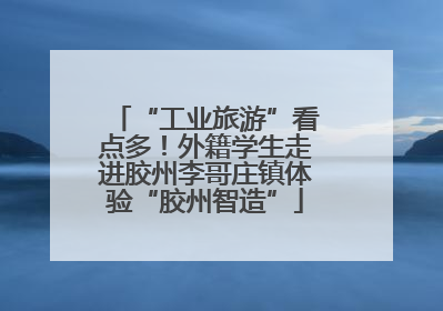 “工业旅游”看点多！外籍学生走进胶州李哥庄镇体验“胶州智造”