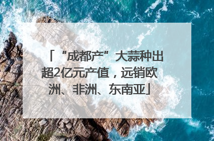 “成都产”大蒜种出超2亿元产值，远销欧洲、非洲、东南亚