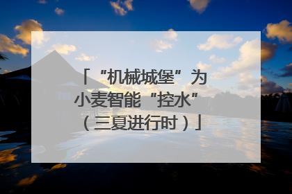 “机械城堡”为小麦智能“控水”（三夏进行时）