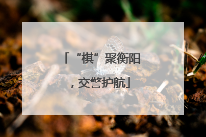 “棋”聚衡阳，交警护航