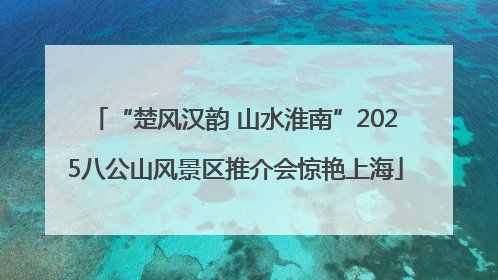 “楚风汉韵 山水淮南”2025八公山风景区推介会惊艳上海