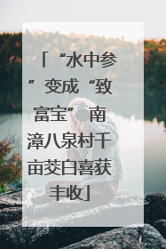 “水中参”变成“致富宝” 南漳八泉村千亩茭白喜获丰收
