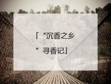 “沉香之乡”寻香记