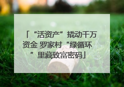 “活资产”撬动千万资金 罗家村“绿循环”里藏致富密码