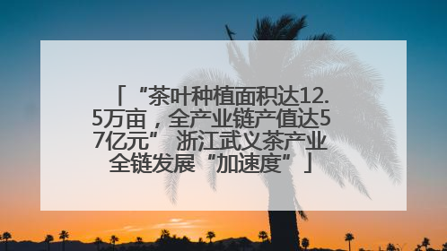 “茶叶种植面积达12.5万亩，全产业链产值达57亿元” 浙江武义茶产业全链发展“加速度”