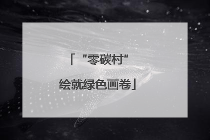 “零碳村” 绘就绿色画卷