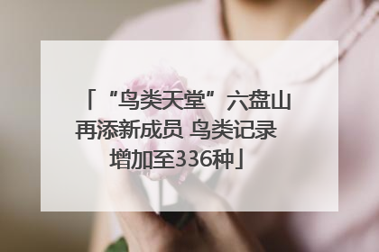 “鸟类天堂”六盘山再添新成员 鸟类记录增加至336种