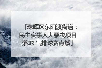 珠晖区东阳渡街道：民生实事人大票决项目落地 气排球赛点燃