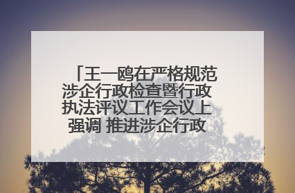 王一鸥在严格规范涉企行政检查暨行政执法评议工作会议上强调 推进涉企行政检查质效大幅提升