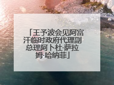王予波会见阿富汗临时政府代理副总理阿卜杜·萨拉姆·哈纳菲