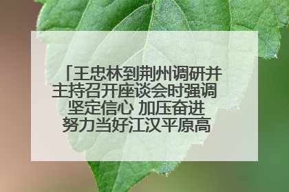 王忠林到荆州调研并主持召开座谈会时强调 坚定信心 加压奋进 努力当好江汉平原高质量发展排头兵