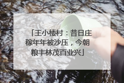 王小楼村：昔日庄稼年年被沙压，今朝粮丰林茂百业兴