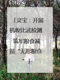 灵宝：开展机收比武检测 筑牢粮食减损“无形粮仓”
