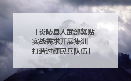 炎陵县人武部紧贴实战需求开展集训 打造过硬民兵队伍