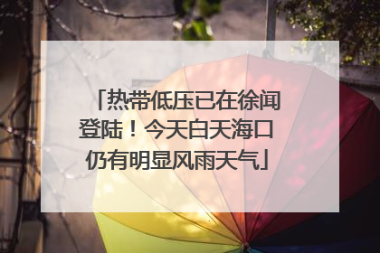 热带低压已在徐闻登陆！今天白天海口仍有明显风雨天气