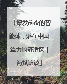 爆发前夜的智能体，落在中国算力的舒适区｜海斌访谈