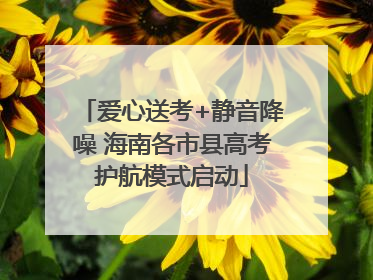 爱心送考+静音降噪 海南各市县高考护航模式启动