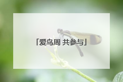 爱鸟周 共参与