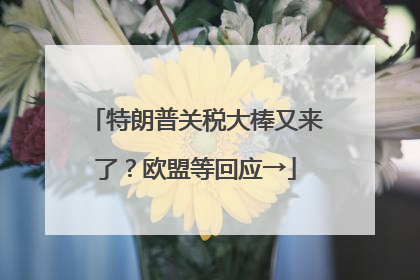 特朗普关税大棒又来了？欧盟等回应→
