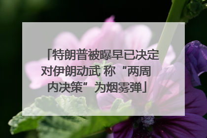 特朗普被曝早已决定对伊朗动武 称“两周内决策”为烟雾弹
