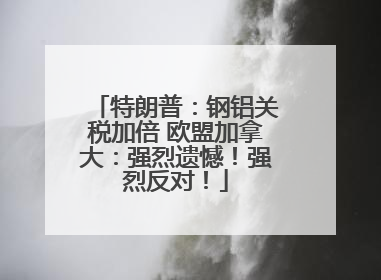 特朗普：钢铝关税加倍 欧盟加拿大：强烈遗憾！强烈反对！