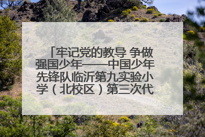 牢记党的教导 争做强国少年——中国少年先锋队临沂第九实验小学（北校区）第三次代表大会胜利召开
