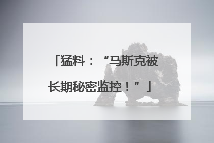 猛料：“马斯克被长期秘密监控！”