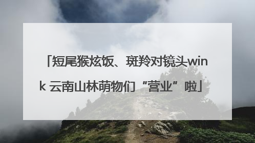 短尾猴炫饭、斑羚对镜头wink 云南山林萌物们“营业”啦