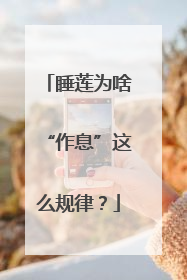 睡莲为啥“作息”这么规律？