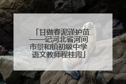 甘做春泥谨护苗——记河北省河间市景和镇初级中学语文教师程桂霞
