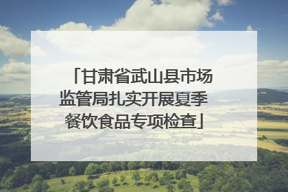 甘肃省武山县市场监管局扎实开展夏季餐饮食品专项检查