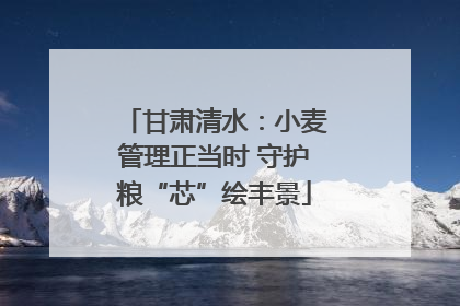 甘肃清水：小麦管理正当时 守护粮“芯”绘丰景