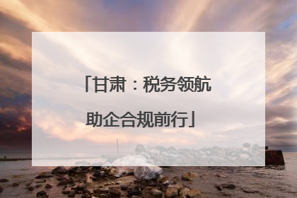 甘肃：税务领航 助企合规前行
