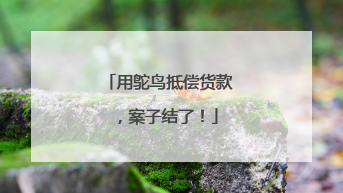 用鸵鸟抵偿货款，案子结了！