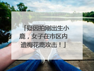 疑因拍刚出生小鹿，女子在市区内遭梅花鹿攻击！