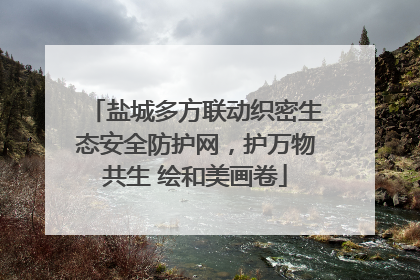 盐城多方联动织密生态安全防护网，护万物共生 绘和美画卷