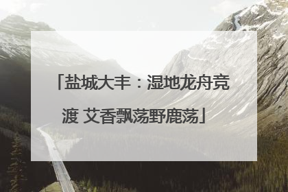 盐城大丰：湿地龙舟竞渡 艾香飘荡野鹿荡
